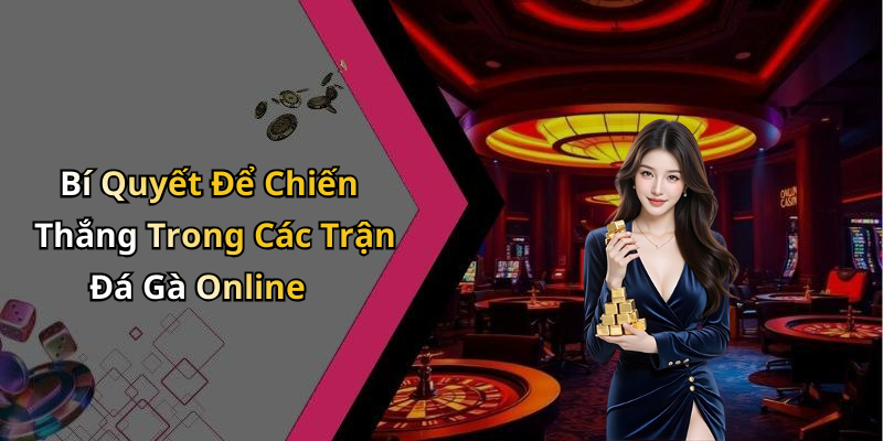 Bí Quyết Để Chiến Thắng Trong Các Trận Đá Gà Online