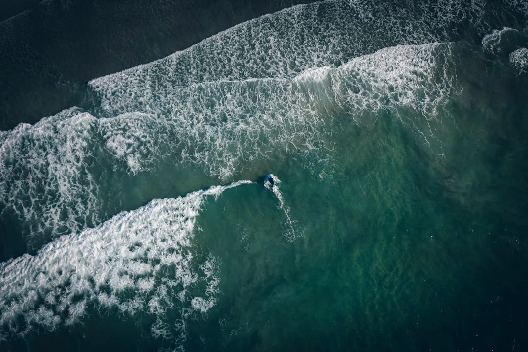 Tiện ích xung quanh chung cư CT1 Yên Nghĩa.